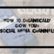 How to organically grow your social media channels