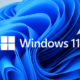 Windows 11 Performance Security Requirements
